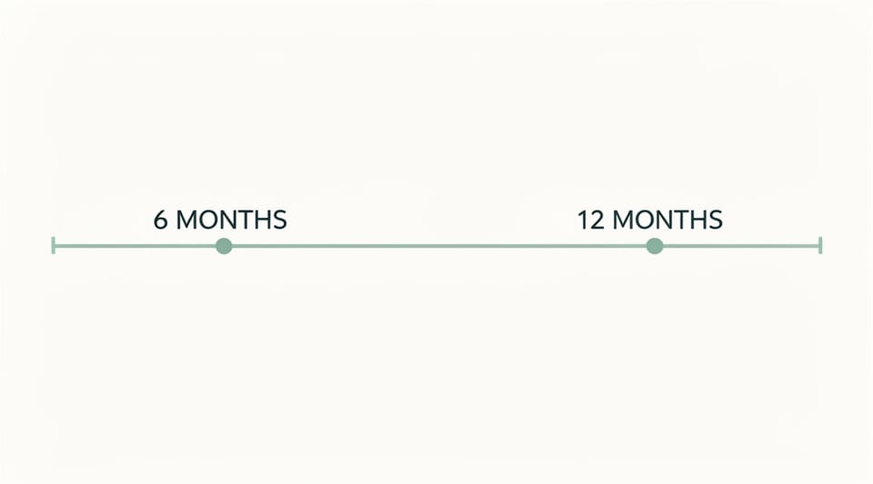 A timeline marks two points, labelled 6 months and 12 months.