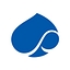 Capgemini Capgemini