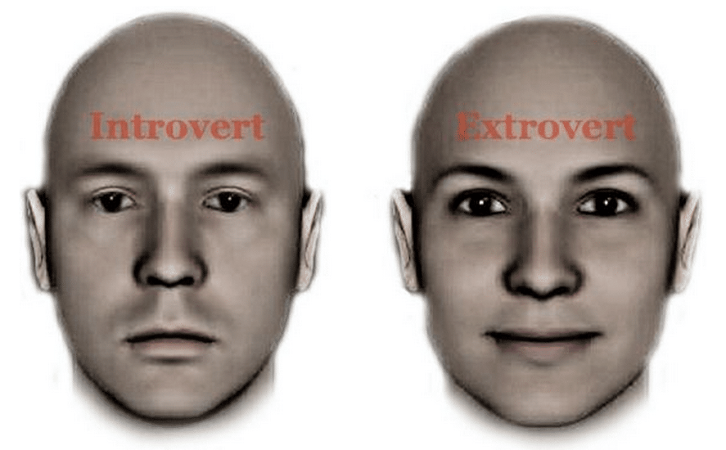 introvert, extrovert, ambivert? 
