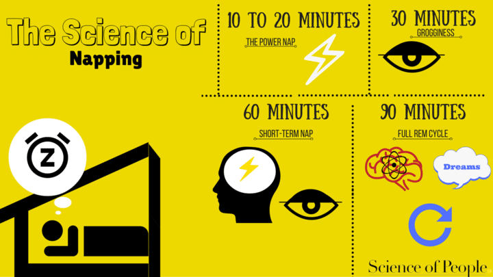 science of a perfect nap, science of napping, nap, napping
