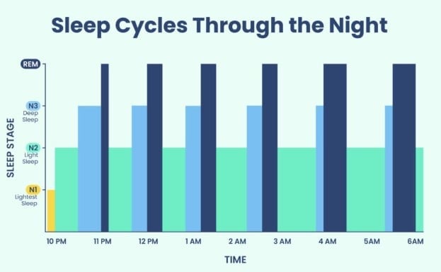 A bar graph showing the sleep cycle stages (lightest sleep, light sleep, and deep sleep) throughout the night which is helpful when deciding how long to nap.