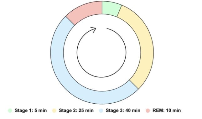 An image of a circle graph showing the amount of time you might spend in each sleep stage if you take a 90-minute nap. This is helpful to know so you can decide how long to nap for.
