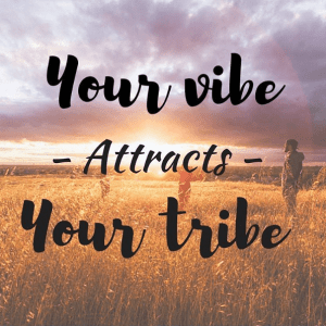 vibe attracts tribe 