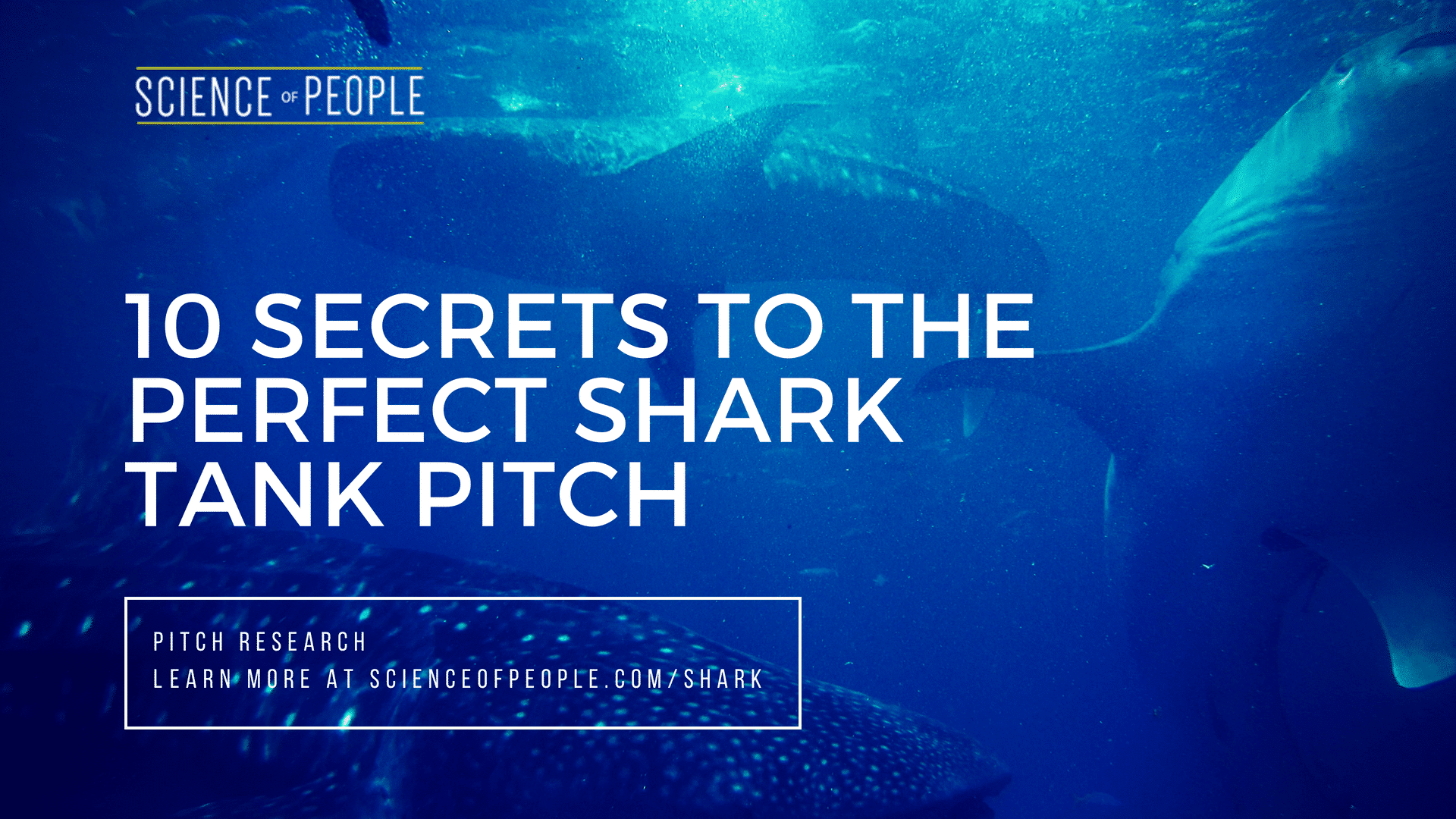 shark tank episodes