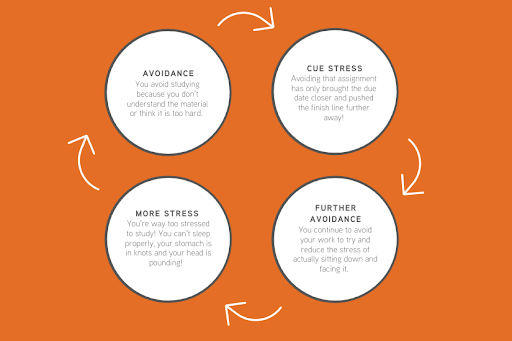 A graphic image of the cycle that perpetuates social anxiety, which includes four parts. It starts with avoidance, then cue stress, then further avoidance, then more stress, and then you're back to the start at avoidance, and the cycle repeats.