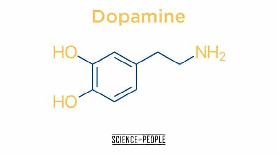 What to do When Bored? 20 Fun Things for the Missing Dopamine