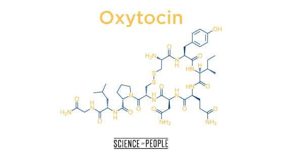 Oxytocin, the cuddle hormone is lacking in people with loneliness