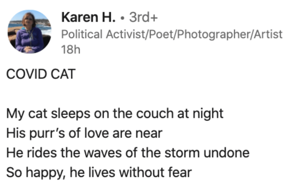 LinkedIn post on poetry, titled "Covid Cat"