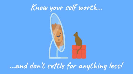 A cat looks into the mirror and sees a lion. The text reads, "Know your self worth... and don't settle for anything less!"