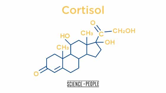 The stress hormone, cortisol, is high in people with anxiety and loneliness