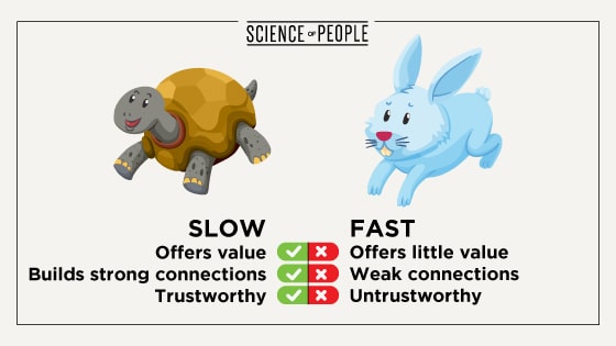 Tortoises are slow online networkers; they build up relationships on a foundation of trust. Hares go in and try to make quick relationships, but often fail.