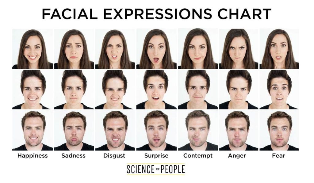 A facial expressions chart detailing the 7 universal expressions