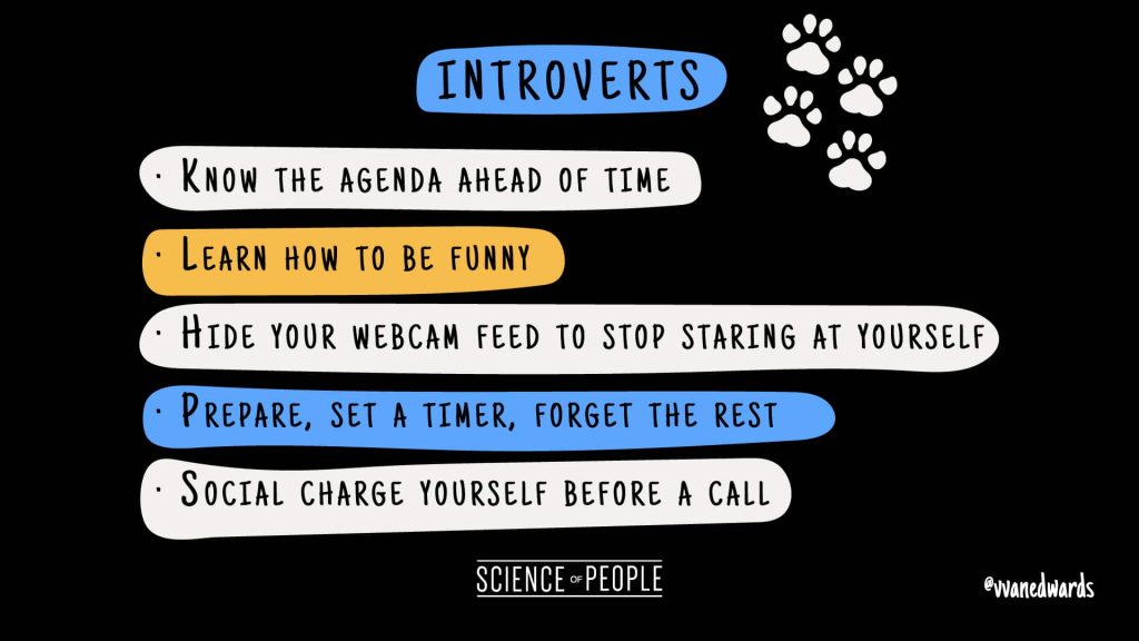 Tips for Introverts to combat Zoom fatigue