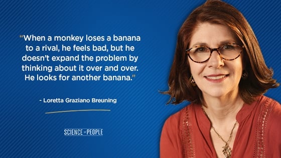 “When a monkey loses a banana to a rival, he feels bad, but he doesn't expand the problem by thinking about it over and over. He looks for another banana.”