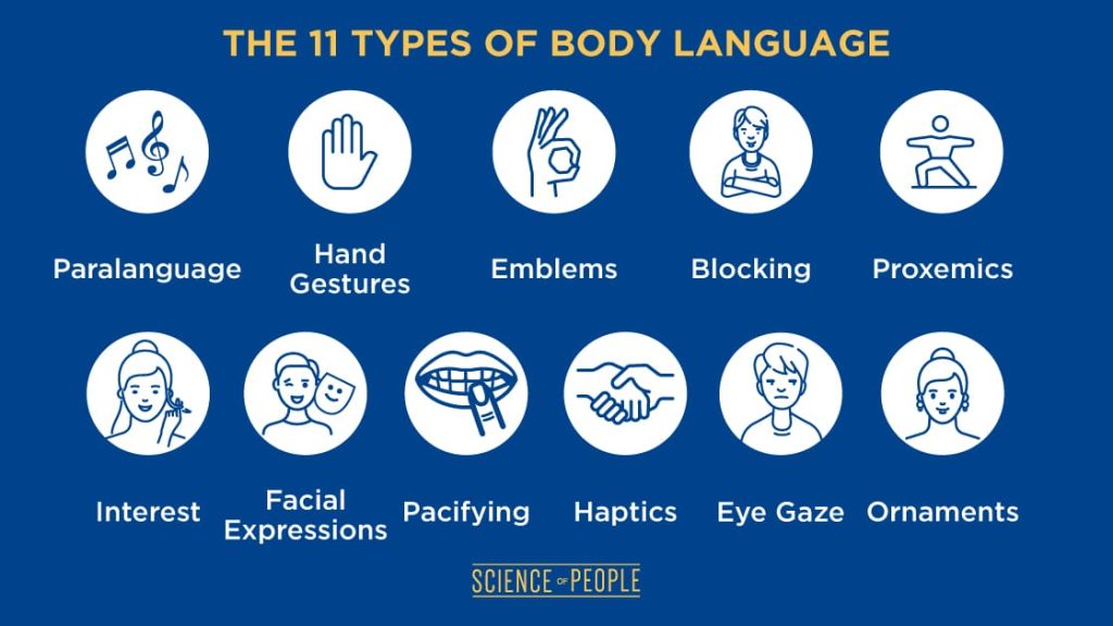 11 Types of Body Language board with different signs