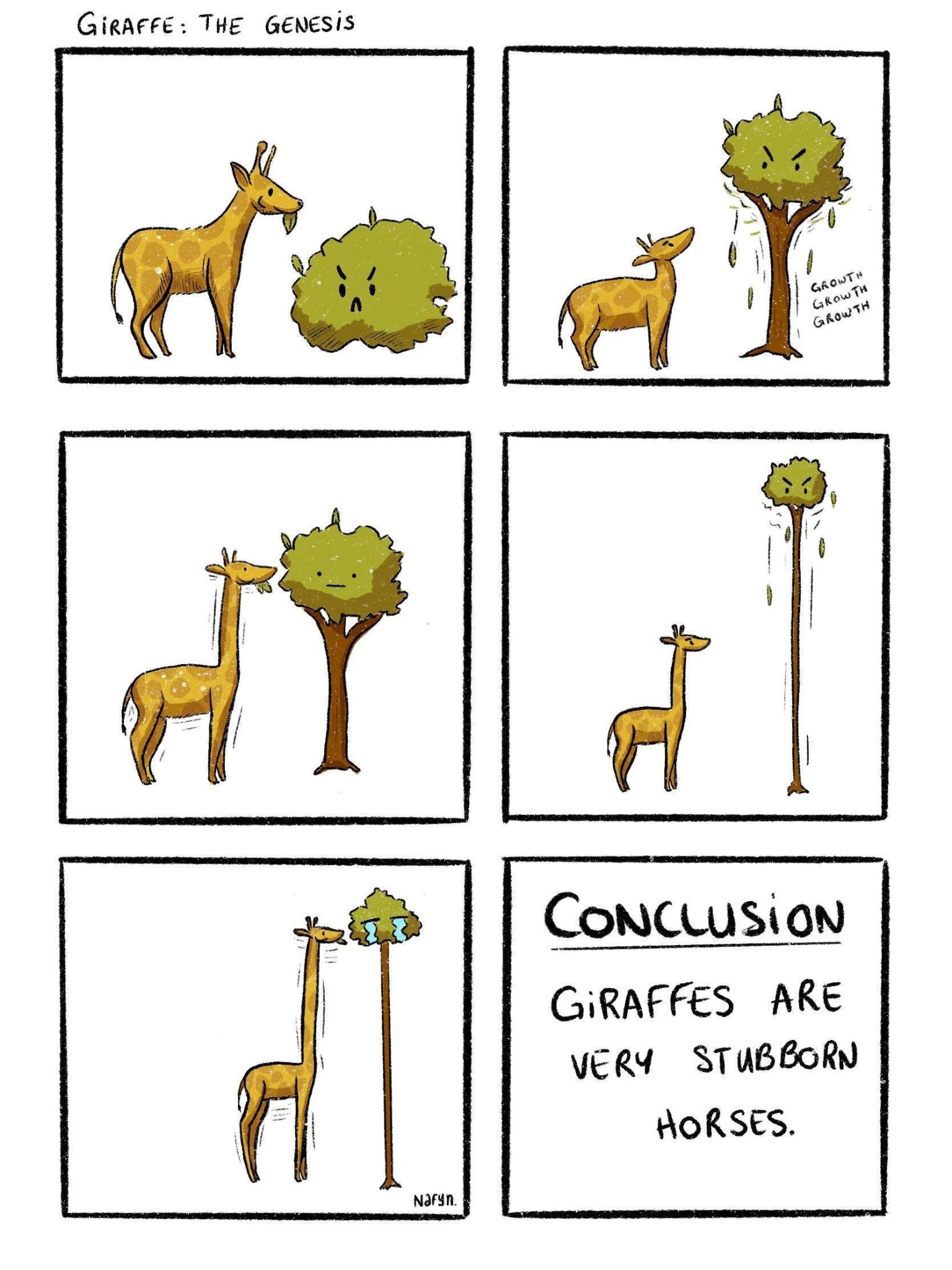 Giraffe the Genesis