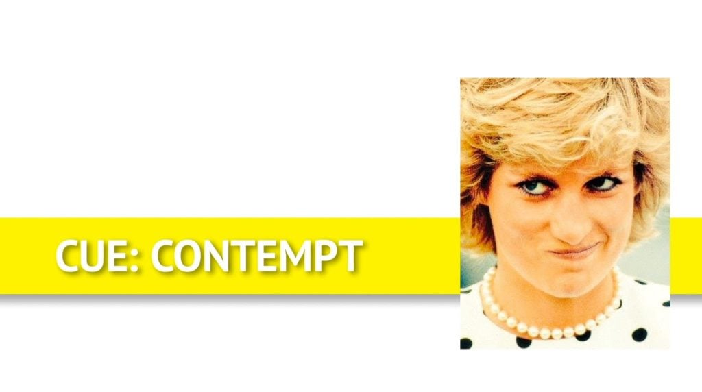 Princess Diana's use of the contempt smirk microexpression.