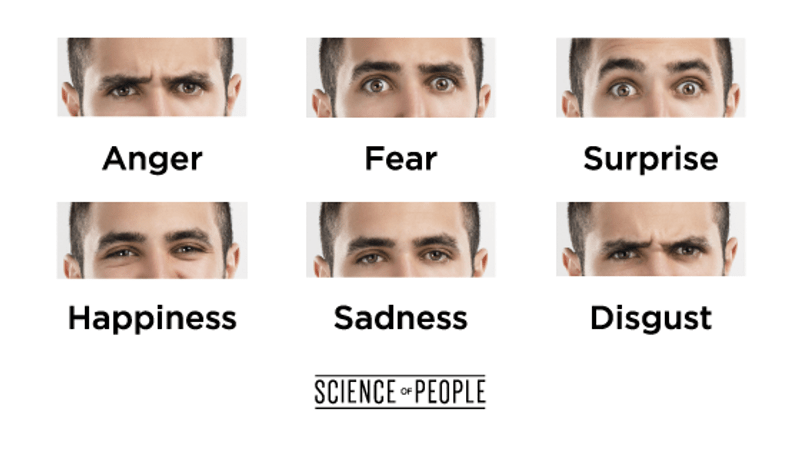 Anger, Fear, Surprise, Happiness, Sadness, and Disgust eyes