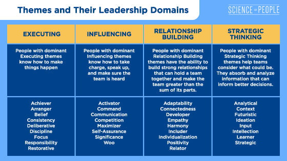 Themes and Their Leadership Domains Infographic