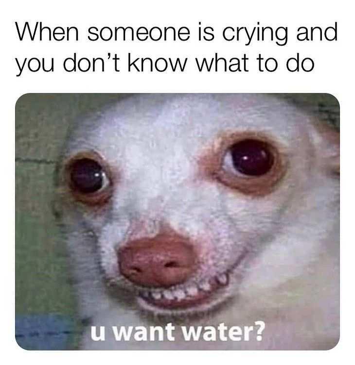 When someone is crying and
you don't know what to do. u want water? meme