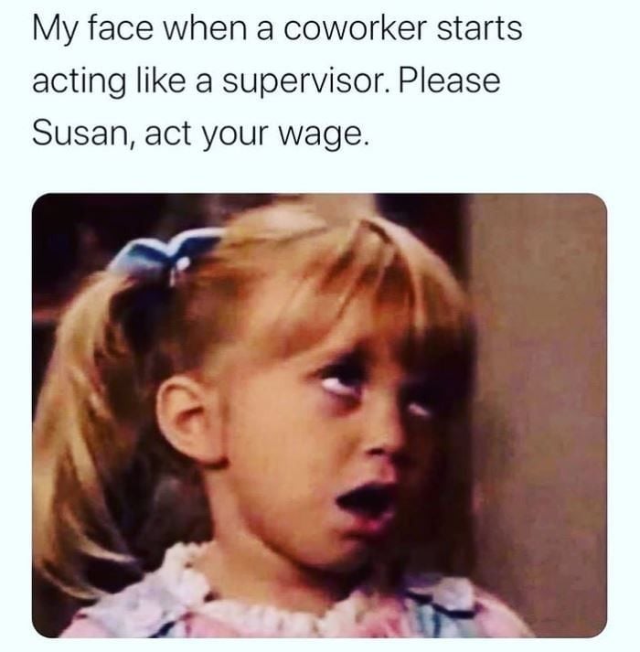 "My face when a coworker starts acting like a supervisor. Please Susan, act your wage."