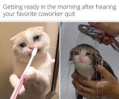 "Getting ready in the morning after hearing your favorite coworker quit"