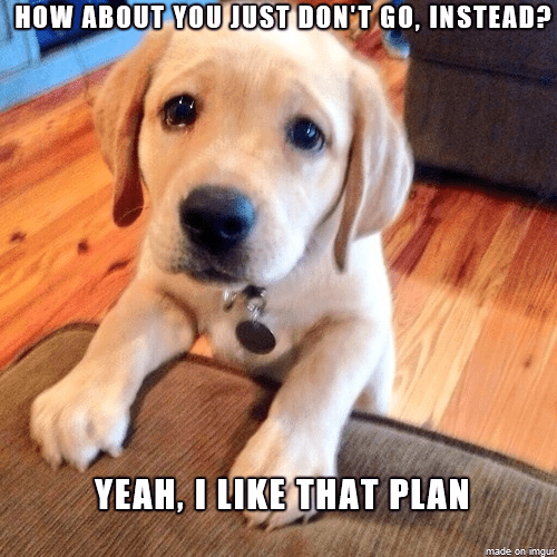 112 Funniest Coworker Memes Guaranteed To Make You Laugh 68 How about you just don't go instead? Yeah, I like that plan