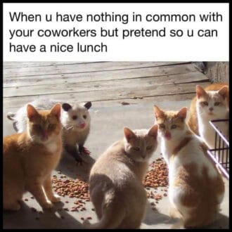 "When you have nothing in common with your coworkers but pretend so u can have a nice lunch."