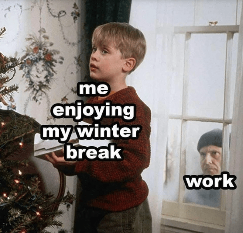 112 Funniest Coworker Memes Guaranteed To Make You Laugh 101 *me enjoying my winter break*
*work peeking in the window*