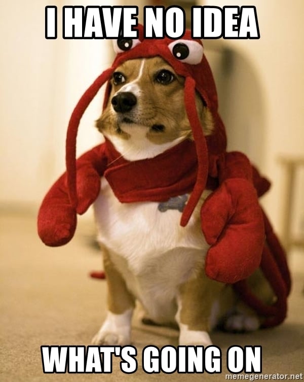 112 Funniest Coworker Memes Guaranteed To Make You Laugh 72 I have no idea what's going on