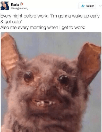 112 Funniest Coworker Memes Guaranteed To Make You Laugh 7 Every night before work: "I'm gonna wake up early and get cute"
Also me every morning when I get to work: "Ugly"