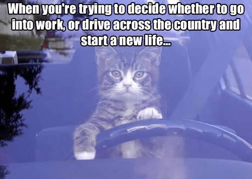 "when you're trying to decide whether to go into work, or drive across the country and start a new life"