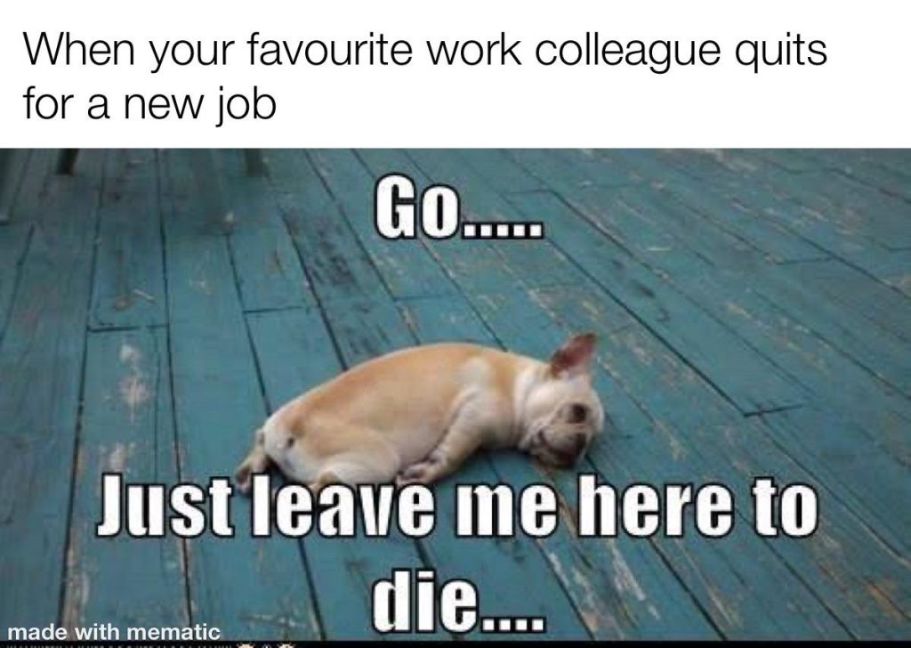 When your favourite work colleague quits for a new job

:Go... Just leave me here to die...