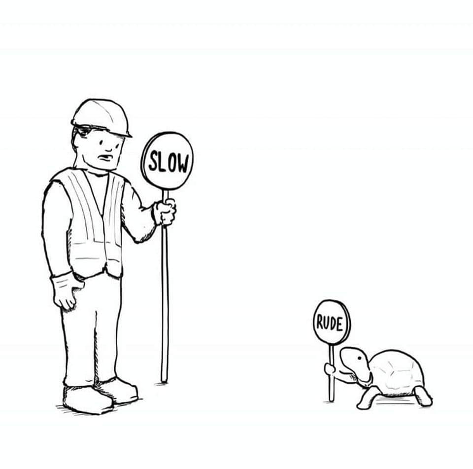 A man holding a sign with label "Slow" and a turtle holding a sign with a label "Rude".