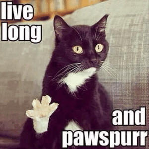 112 Funniest Coworker Memes Guaranteed To Make You Laugh 97 Live long... and pawspurr