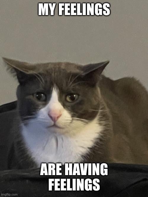 MY FEELINGS
ARE HAVING
FEELINGS meme