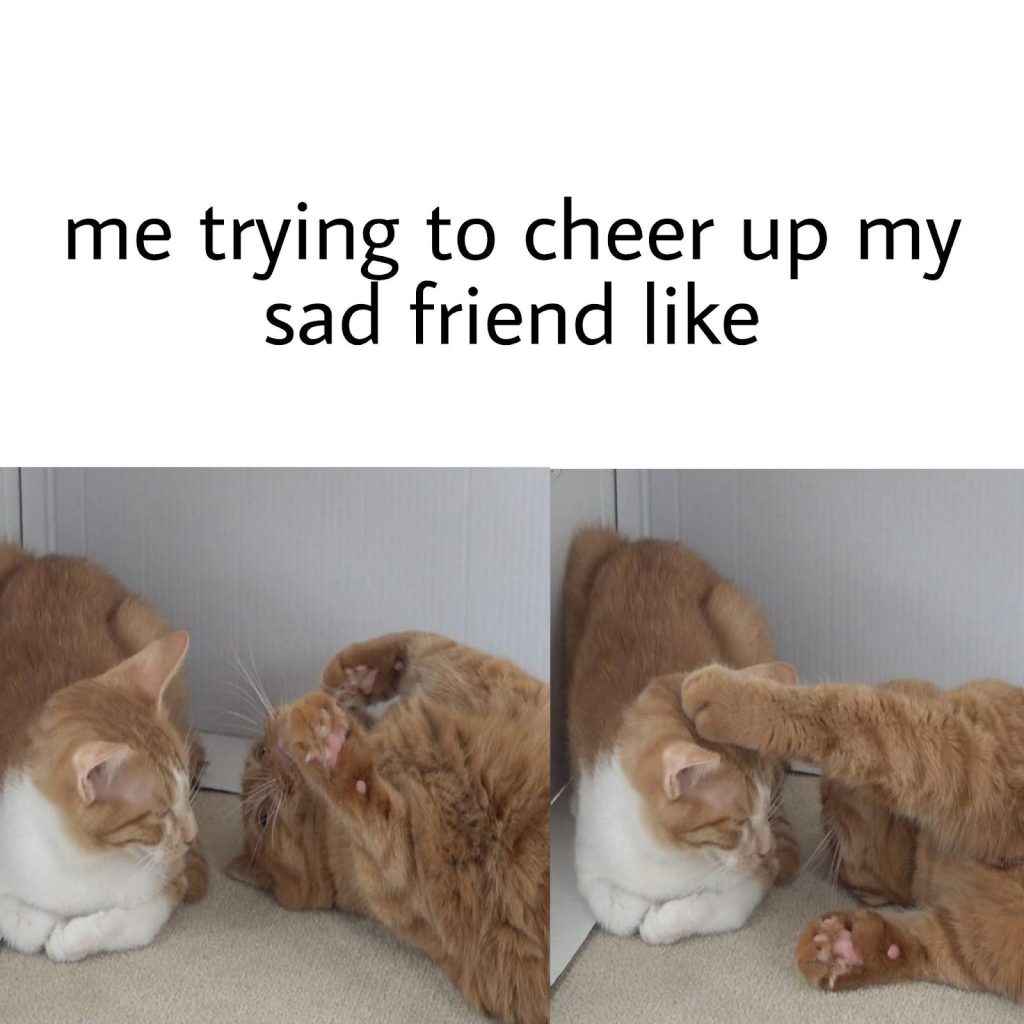 me trying to cheer up my
sad friend like meme