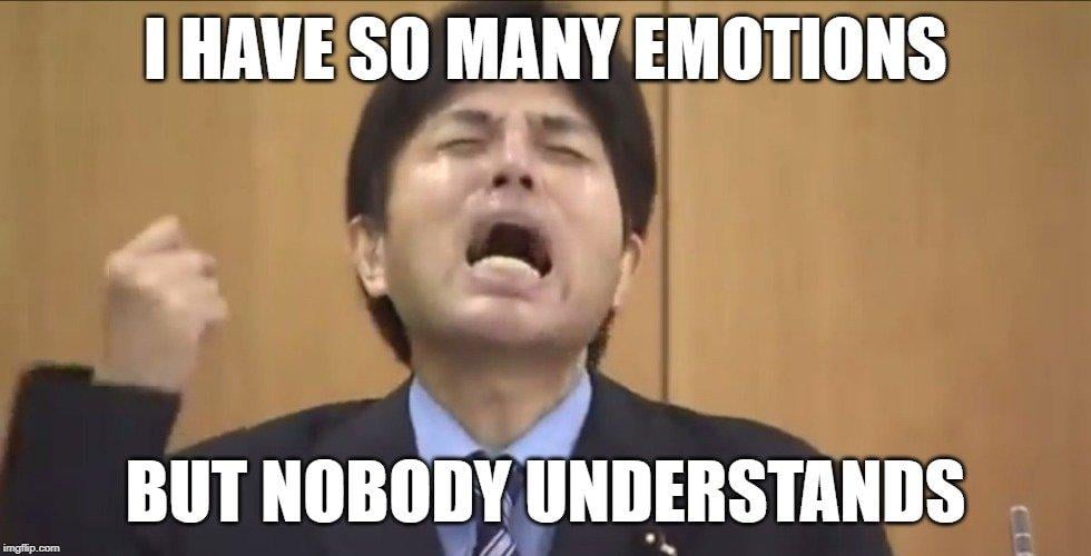 I HAVE SO MANY EMOTIONS
BUT NOBODY UNDERSTANDS meme