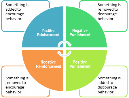 How do positive and negative reinforcement affect a teenager