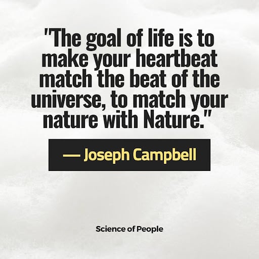 A quote about life by Joseph Campbell
