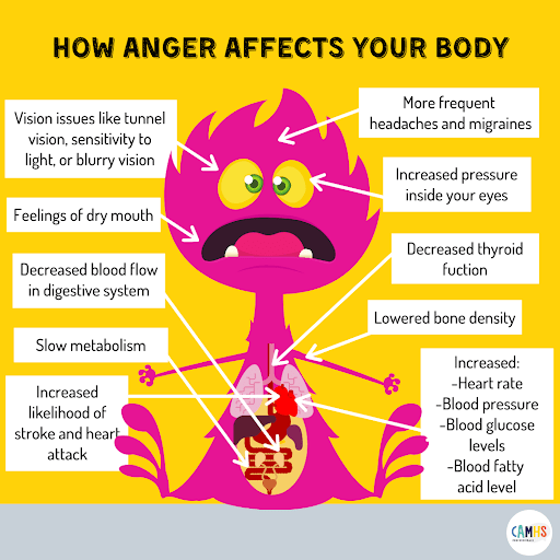 cartooned illustration on how anger affects your body