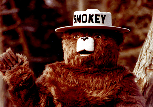 An image of Smokey the Bear, although most peopel remember it as "smoky" with no "e". This is an example of the mandela effect.