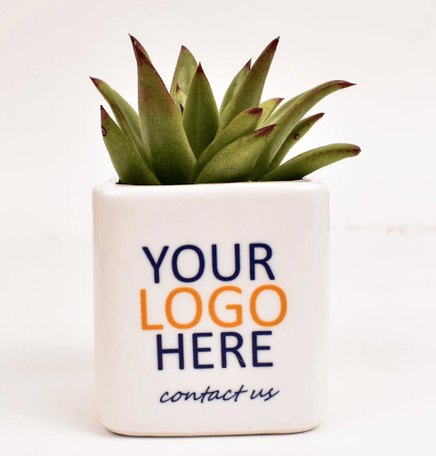 Customizable succulent planter as a company swag idea