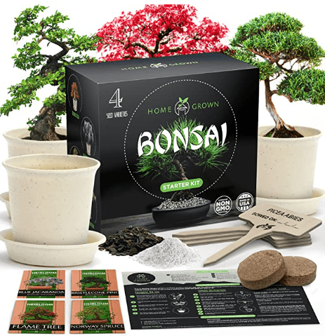 Bonsai tree kit from Home Grown that would make a unique employee gift.