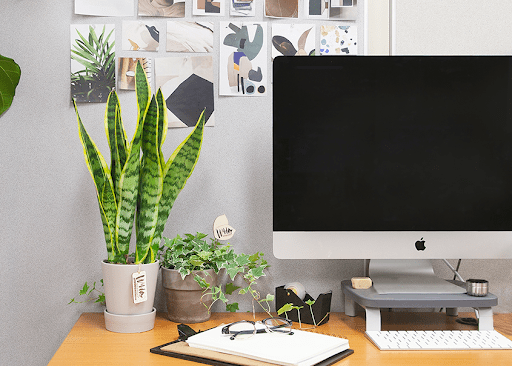 Include plants for smart accents as an office decor idea