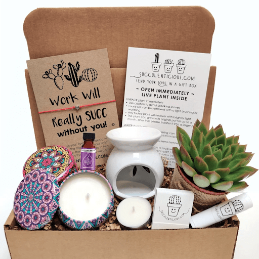 Succulent gift basket "my life would suck without you" as a going away gift