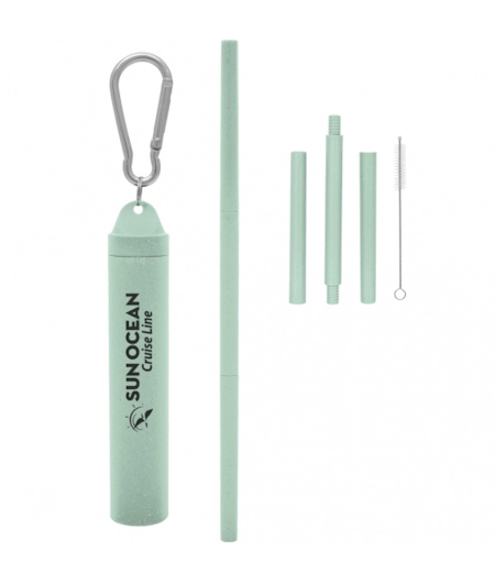 Reusable straw with case as a company swag idea