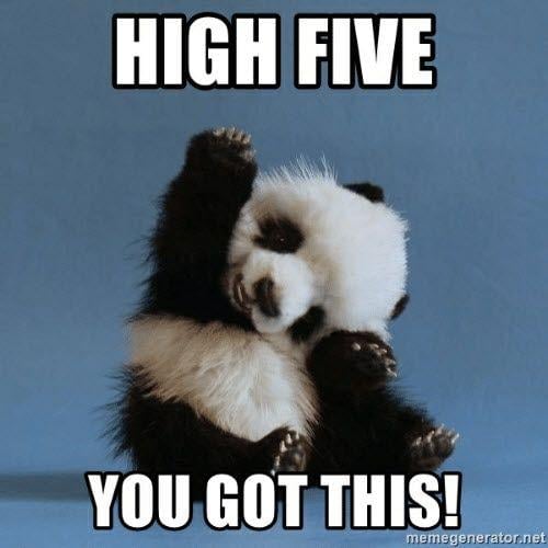 A meme of a baby panda saying "you got this" in regard to making a personal value statement