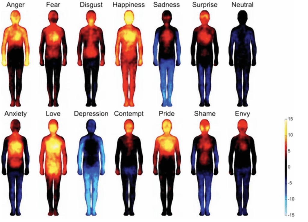 An image of bodies that helps you pinpoint where you feel the sensations in your body, based on the particular emotion you are feeling. Each one has different levels of coolness and warmness, representing low and high energy. This is especially helpful if you're an empath.