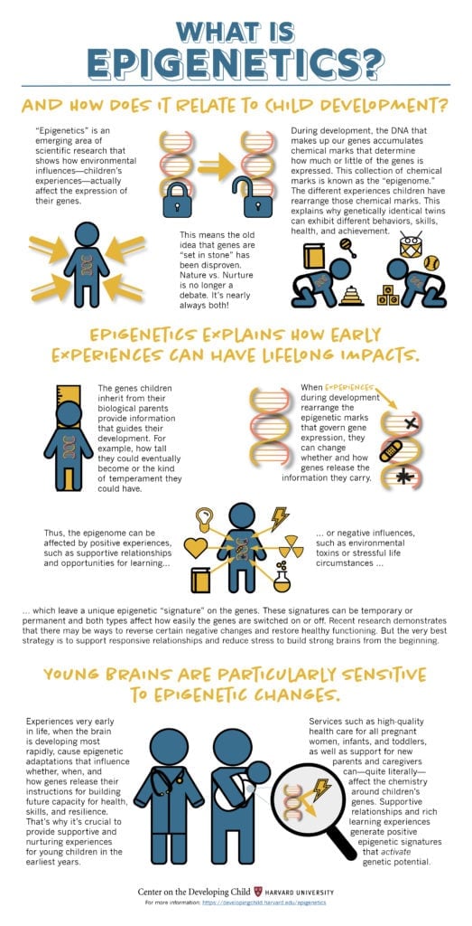 An infographic from Harvard University talking about Epigenetics which relates back to the nature vs. nurture topic.